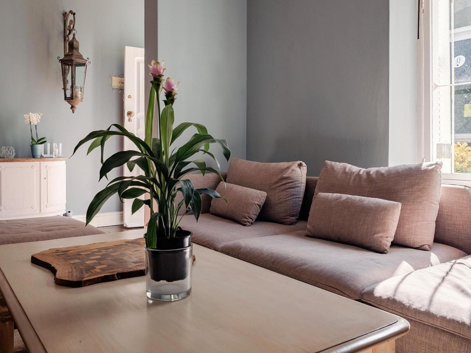 Purple House Accommodations Κέιπ Τάουν Δωμάτιο φωτογραφία
