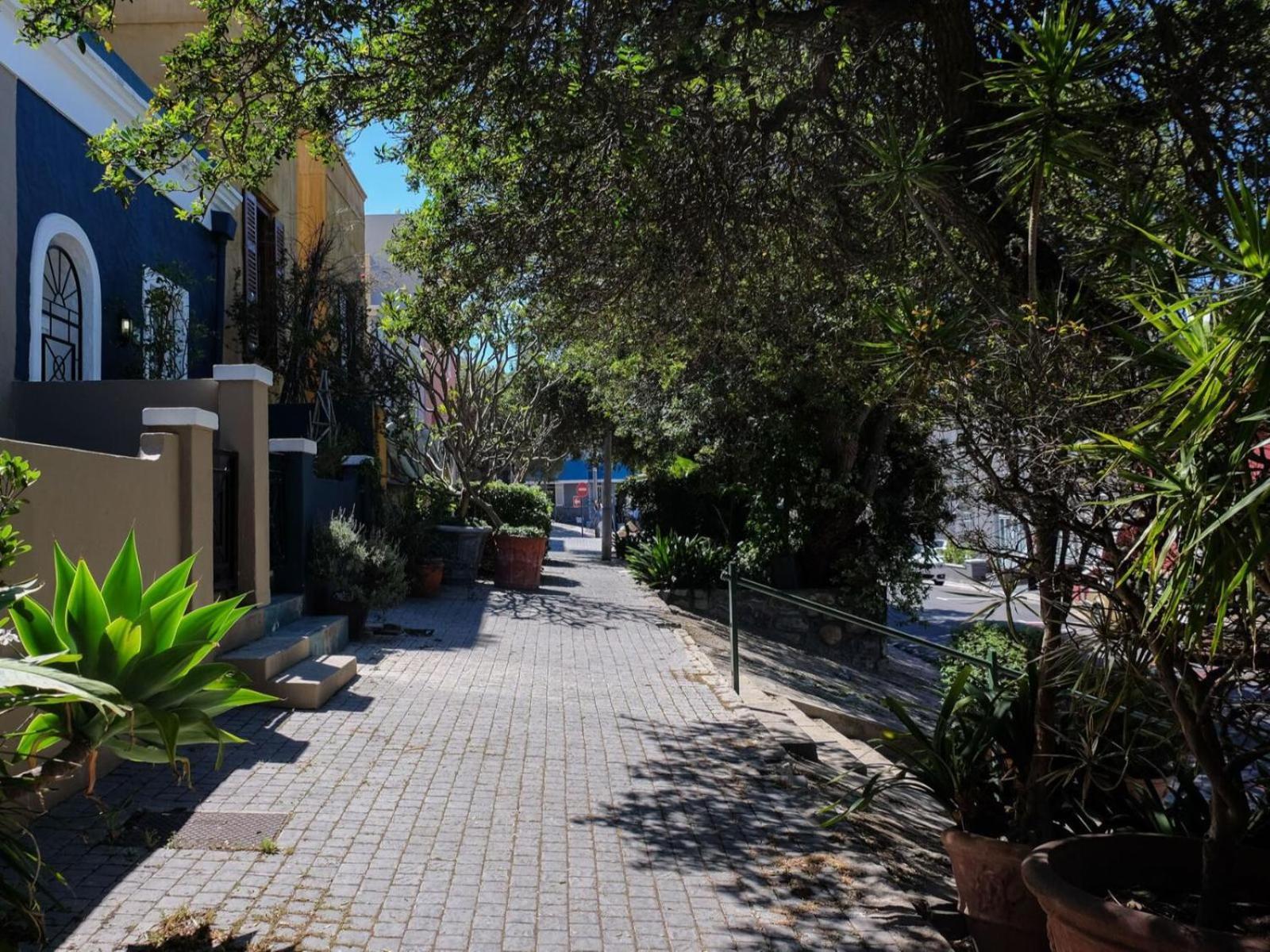 Purple House Accommodations Κέιπ Τάουν Εξωτερικό φωτογραφία