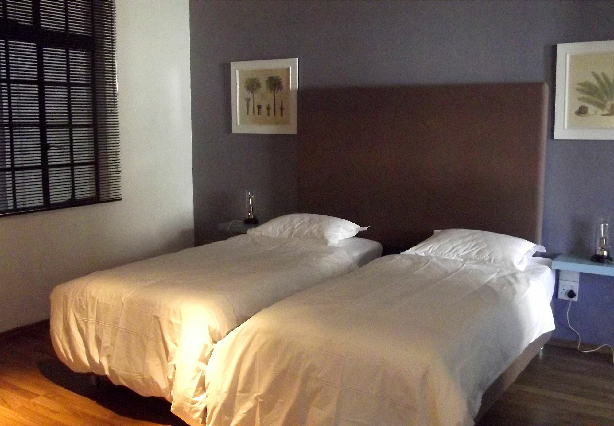 Purple House Accommodations Κέιπ Τάουν Εξωτερικό φωτογραφία